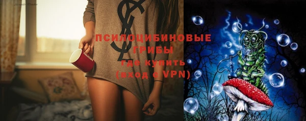 PSILOCYBIN Армянск