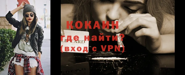 дживик Арсеньев