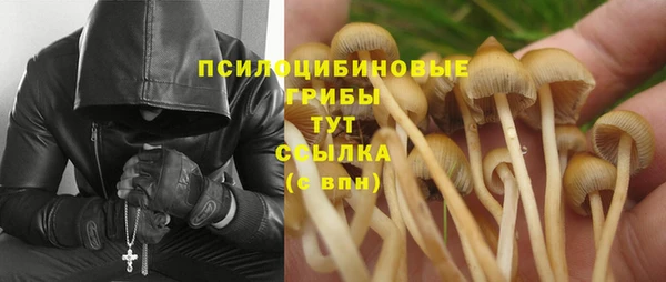 PSILOCYBIN Армянск