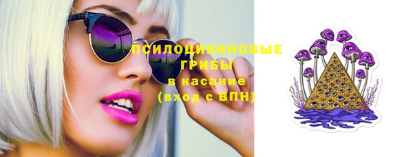 дживик Арсеньев