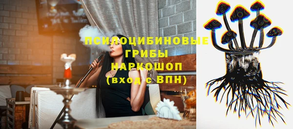 дживик Арсеньев
