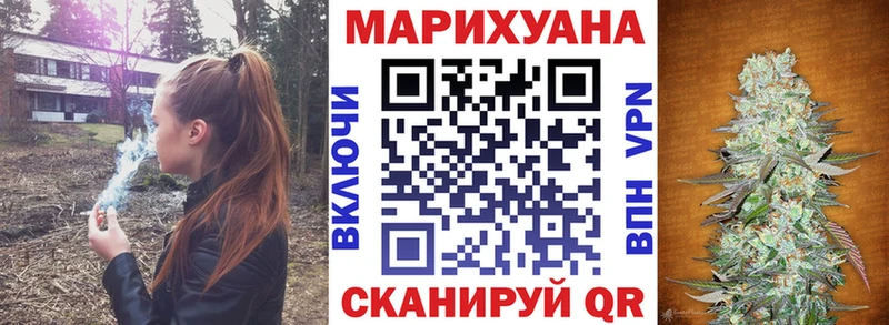 MEGA   Славгород  МАРИХУАНА SATIVA & INDICA 